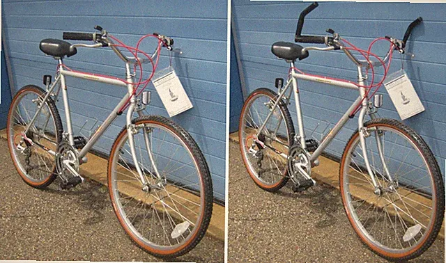 Raleigh Citysport 20 in Mtn City Bike Silver 12 speed